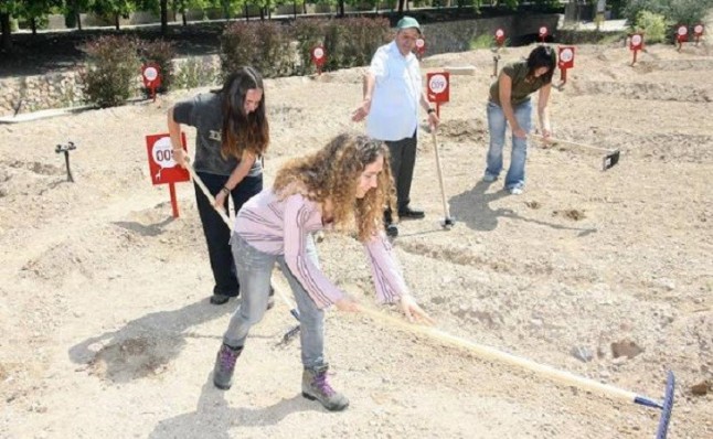 La Universidad de Murcia ofrece 44 parcelas de huertos ecológicos en el Campus de Espinardo