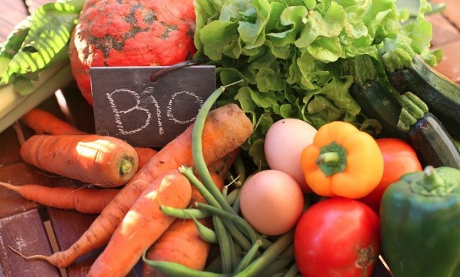 Fundación COPADE incorporará productos bio y de comercio justo