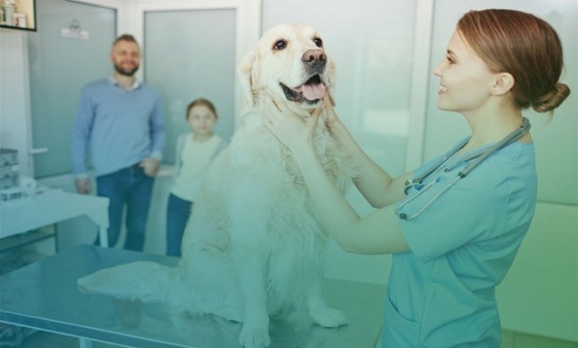 Editan una guía de enfermedades transmitidas por animales de compañía