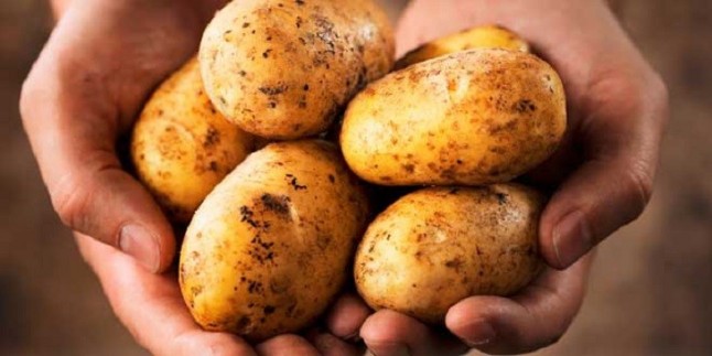 El almidón sirve para adelgazar