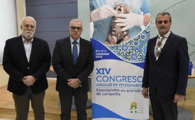 XIV Congreso Andaluz de Veterinarios Especialistas en Animales de Compañía en Granada