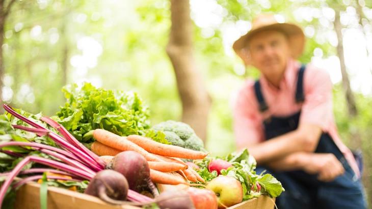 Alimentos ecológicos ‘Made in Murcia’