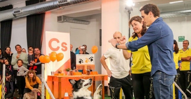 CIUDADANOS defiende tener una ley para los animales de compañía