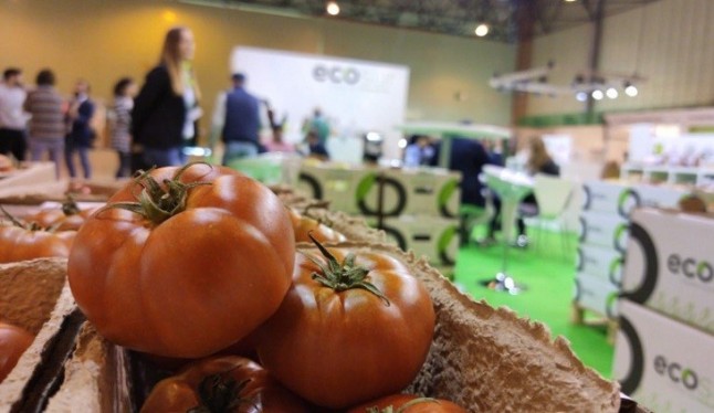 Biocultura Sevilla 2019 y Ecosur: “Misión Cumplida”