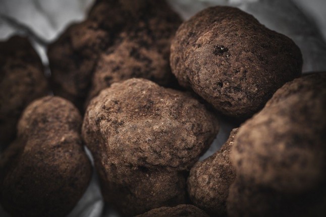 Qué es la trufa del desierto