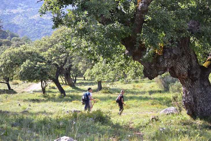 Málaga potencia con fondos la ‘Gran Senda’