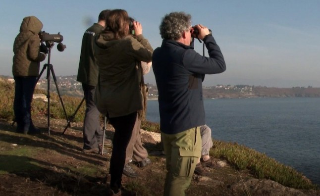La Serra do Suído acoge este domingo la última de las rutas ornitológicas de la Diputación de Pontevedra