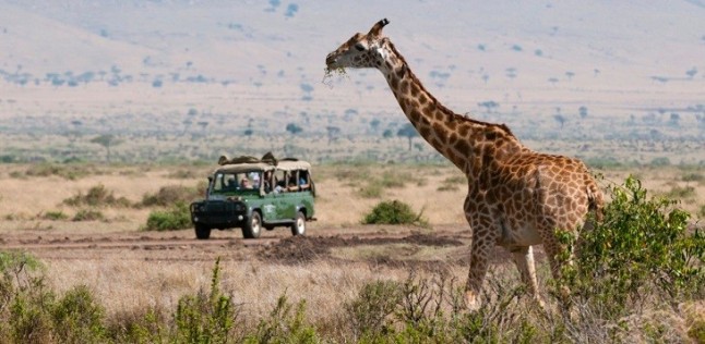 El turismo en África preserva la biodiversidad