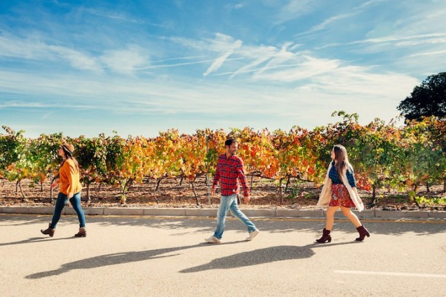 El Concurso de Pinchos Ruta del Vino Cigales (Valladolid) se amplía a 3 fines de semana e incorpora un ruta senderista