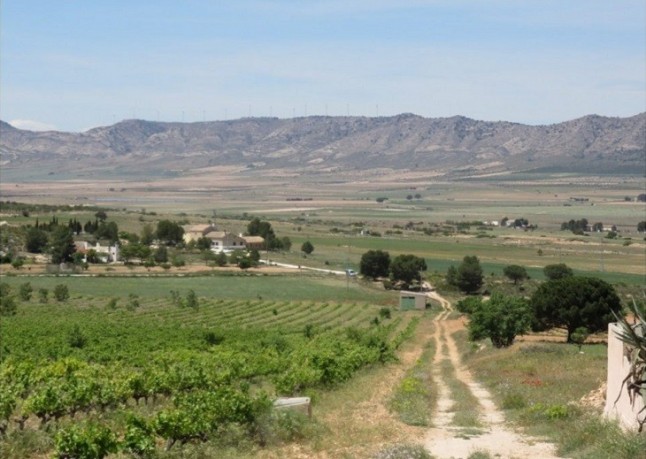 Ecoturismo en la Sierra del Carche