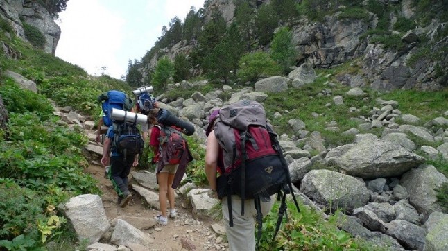 La UJA y Torres Vela