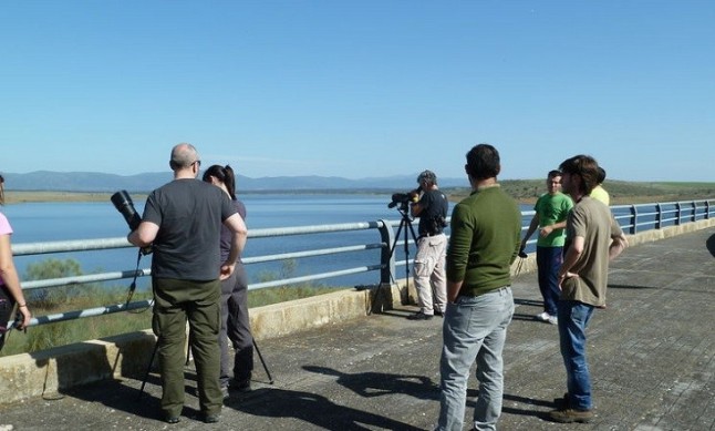 Puebla de Alcocer (Badajoz) promueve rutas ornitológicas