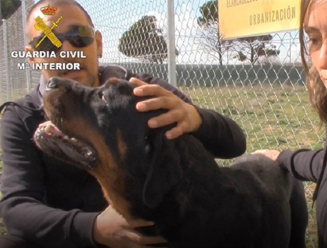 Campaña para intensificar el control de los perros potencialmente peligrosos