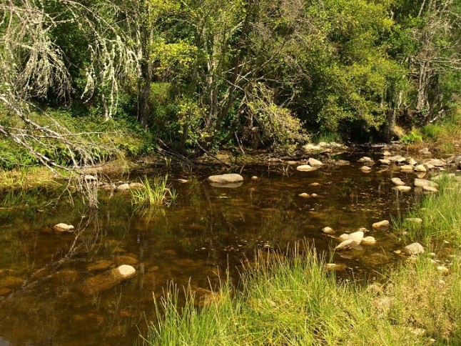 Tecnología verde. Evaluación de la erosión de los ríos mediante la determinación de isótopos radiactivos