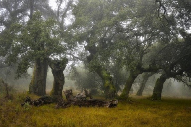 La Rioja da a conocer el espacio natural Carrascal de Villarroya