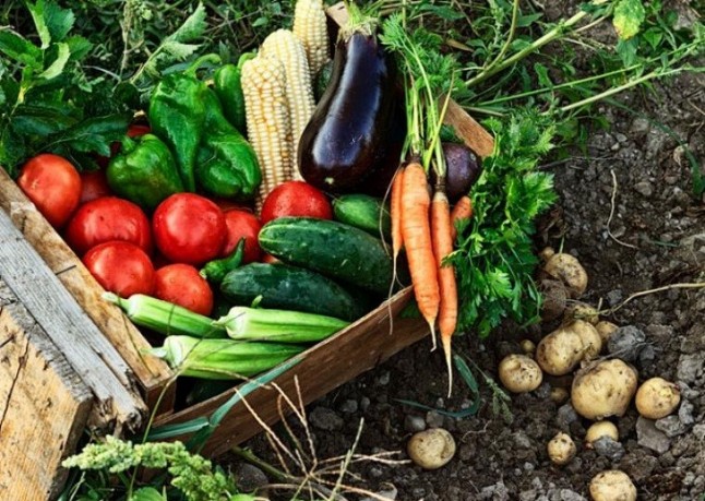 Biocórdoba reunirá al mundo relacionado con los alimentos ecológicos en su XXII edición