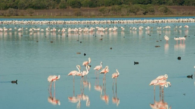 Extremadura promociona el sur de la región como destino de naturaleza en la Feria de las Aves de Doñana