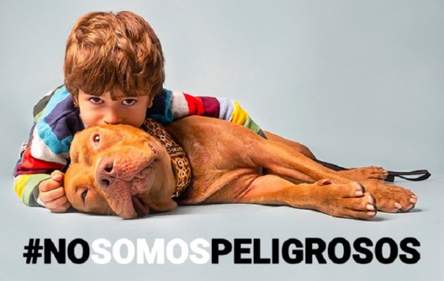 Por una nueva campaña para modificar la Ley de Perros Potencialmente Peligrosos