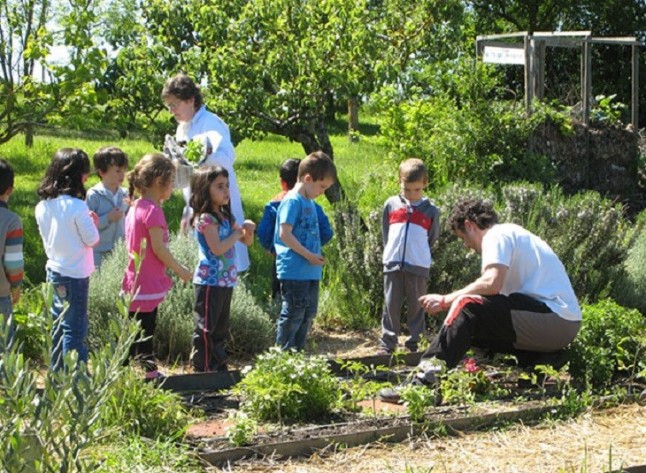 V Premio Nacional Huertos Educativos Ecológicos