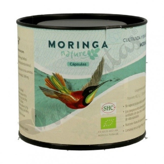 Moringa: un árbol cargado de regalos para nuestra salud