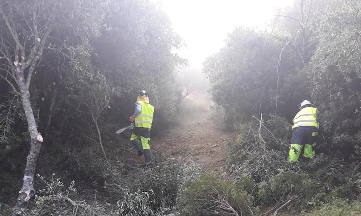 Preparan una ruta ciclista en el Corredor Verde dos Bahías a su paso por Los Alcornocales (Cádiz)