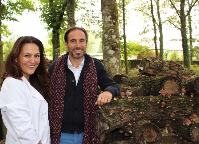 Micología ecológica