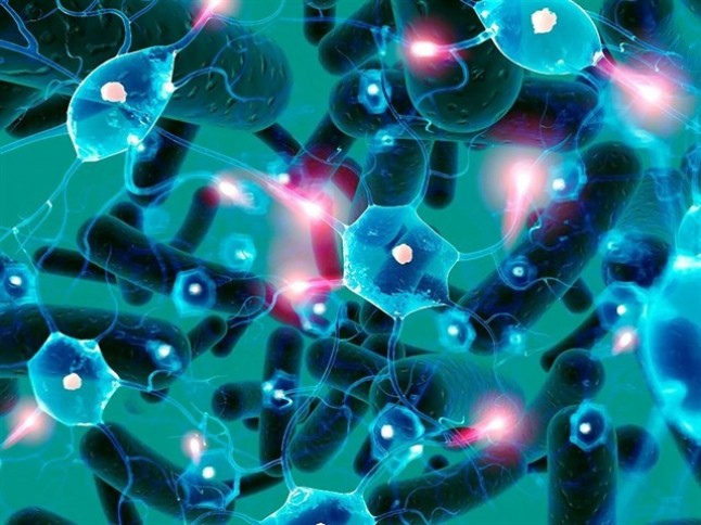 Las personas con fibromialgia toman mejores decisiones tras el consumo de bacterias saludables