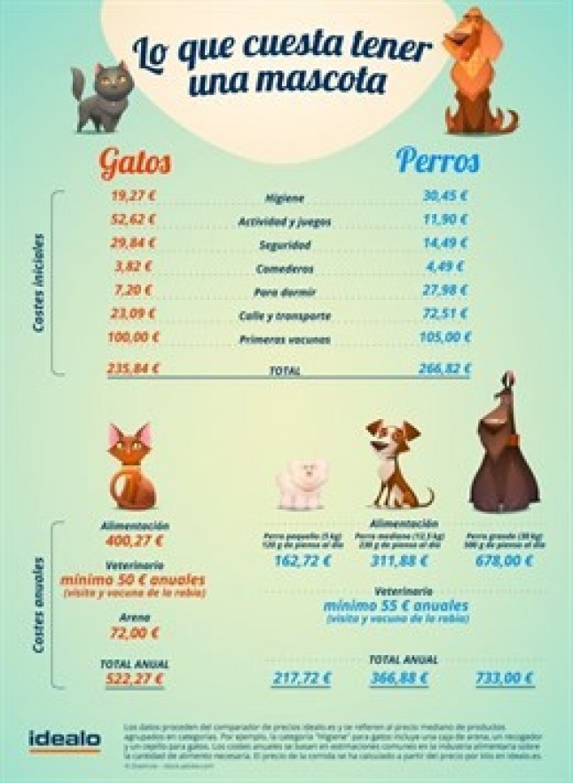 Te explicamos cuanto te cuesta tener un gato en casa