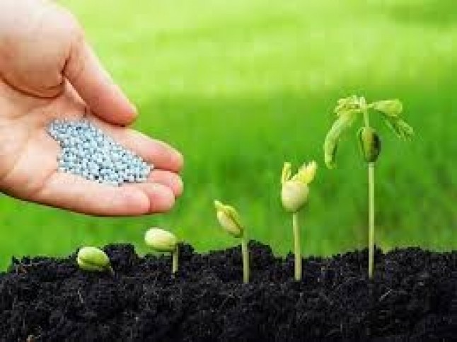 San Javier acoge este martes una jornada sobre la gestión de la nutrición vegetal para la protección del Medio Ambiente