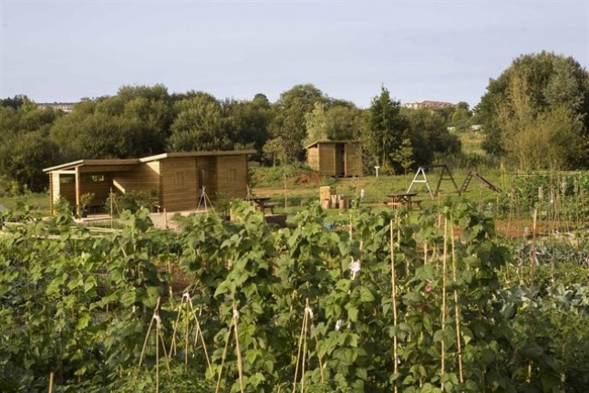 Últimos días para solicitar una parcela de las huertas municipales de Camargo