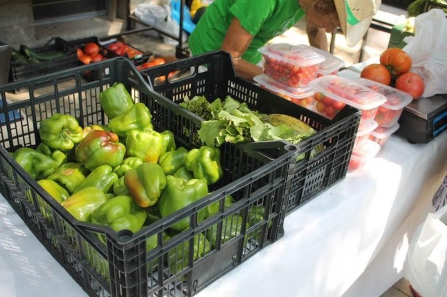 III Plan Andaluz de la Producción Ecológica