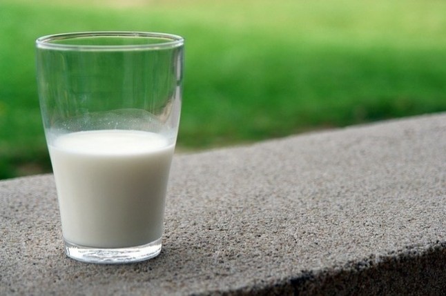 Qué leche vegetal se acerca más nutricionalmente a la de vaca