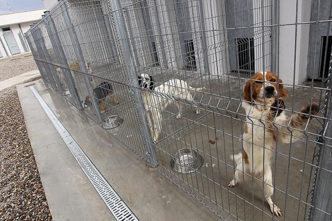 Polémica por la gestión del contrato del Centro de Acogida de Animales de Logroño