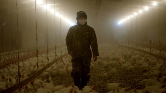 Netflix estrena una serie documental que airea la ‘podredumbre’ de la industria alimentaria