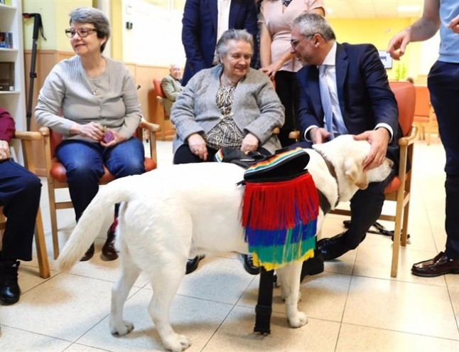 La Comunidad de Madrid implementará la terapia asistida con animales para mayores dependientes