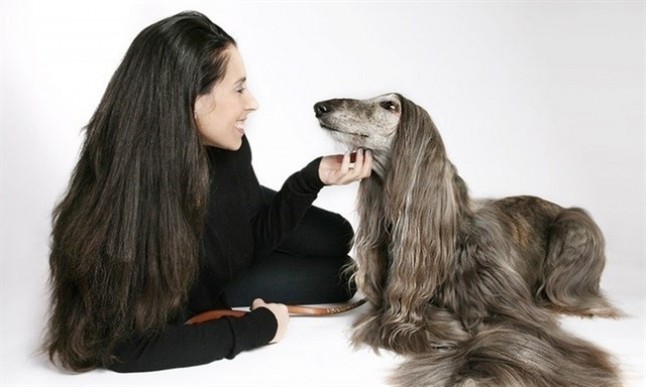 Los madrileños enamorados de su mascota