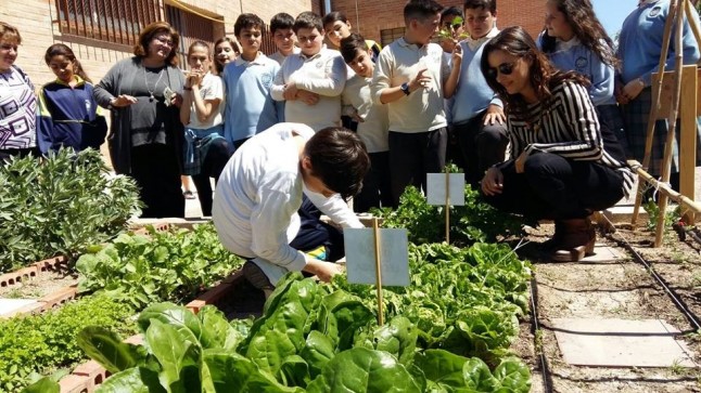 IV Concurso de Huertos Escolares de la Región de Murcia