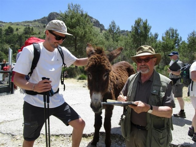 Los senderistas alemanes en la Serra de Tramuntana harán labores de conservación