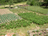 El trabajo de la Estación Experimental La Mayora y su vinculación con una agricultura sostenible en la costa subtropical