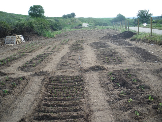 Redueña promueve su 1ª Iniciativa Local Agroecológica a través de Huertos Sociales