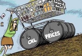 Amigos de la Tierra desvela el impacto ambiental de las importaciones de alimentos