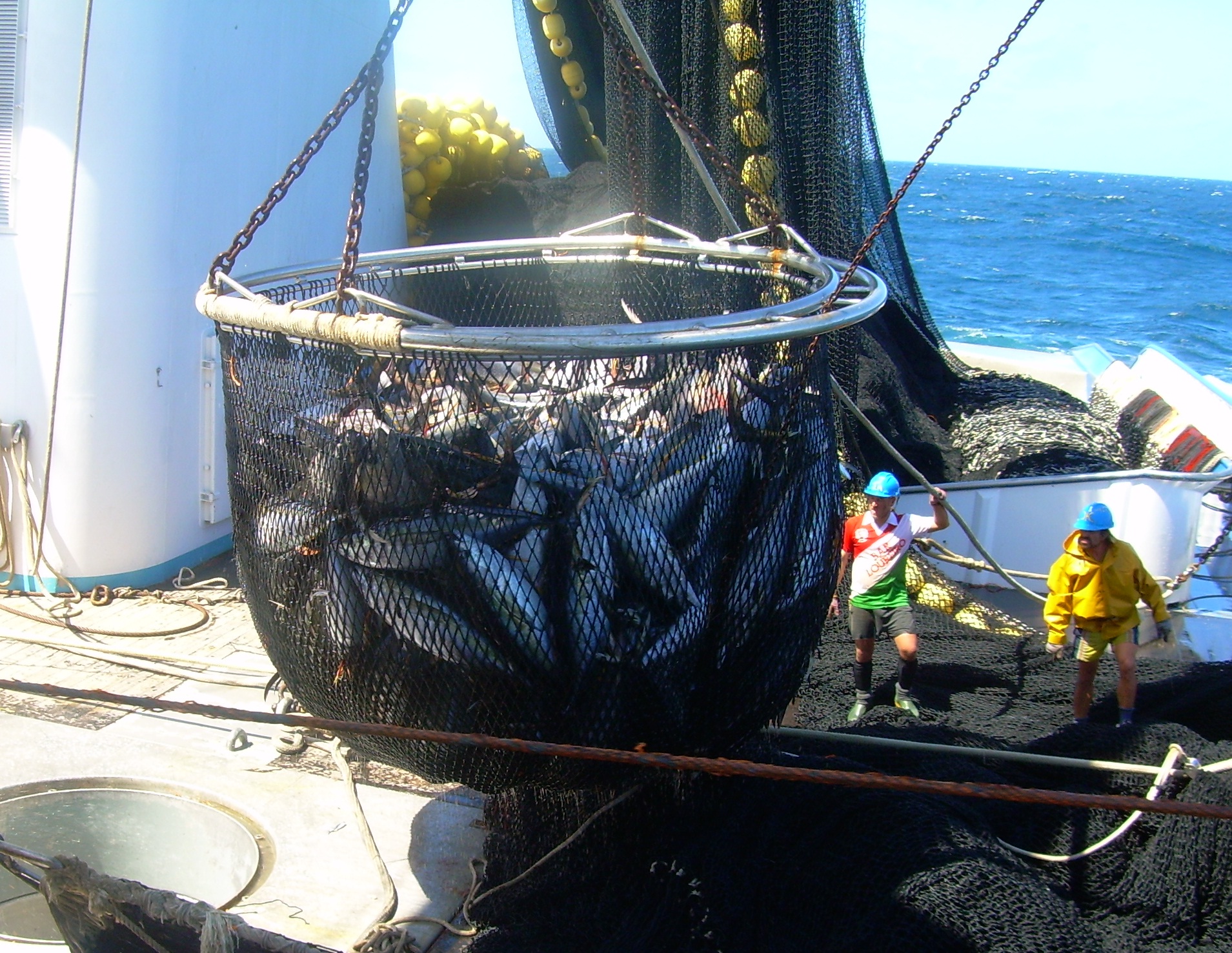 Primera pesquería europea de túnidos tropicales