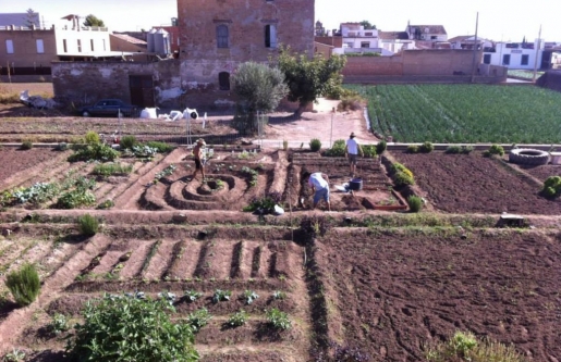 Los huertos se ponen de moda en Valencia