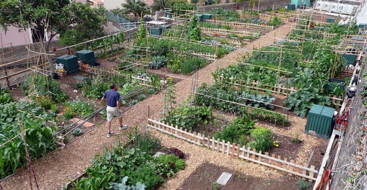 Aumento considerable de áreas ecológicas en Andalucía