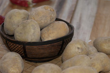 Biofertilizantes para patatas