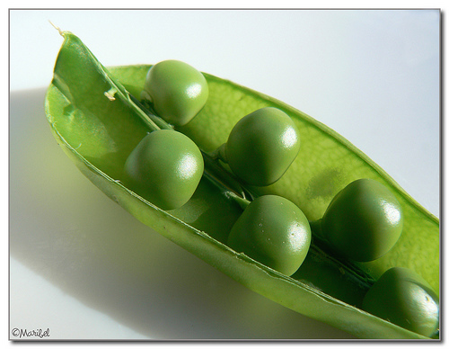 Cuarta edición del mercado ecológico