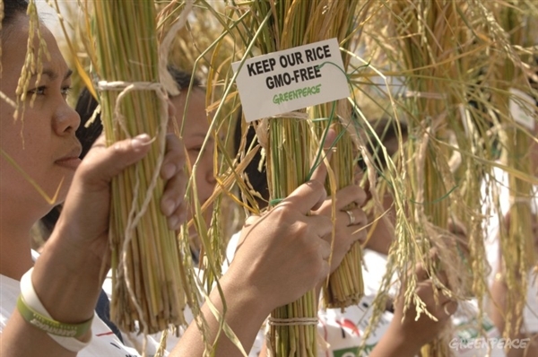 Testimonios antitransgénicos por una alimentación de calidad
