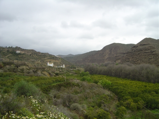 Ayudas para la producción ecológica en Almería
