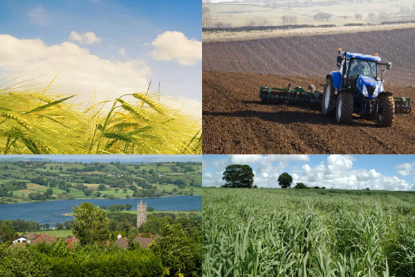 Empresas de alimentación orgánica toman el liderazgo en la lucha contra el cambio climático