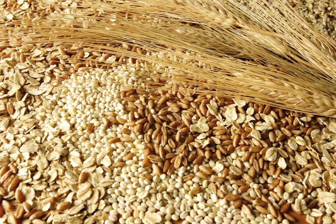 Andalucía exporta a Europa 10 millones de kilos de cereal ecológico